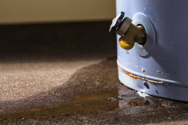 Best Flood restoration services  in Lincoln University, PA