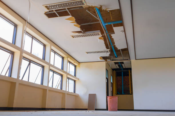 Best Local water damage restoration  in Lincoln University, PA