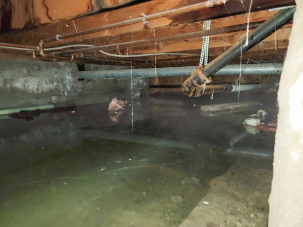 Best 24/7 water damage repair  in Lincoln University, PA