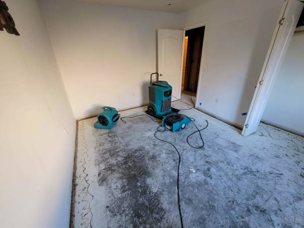 Best Professional water damage repair  in Lincoln University, PA