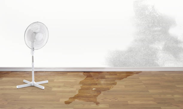 Best Water damage restoration near me  in Lincoln University, PA