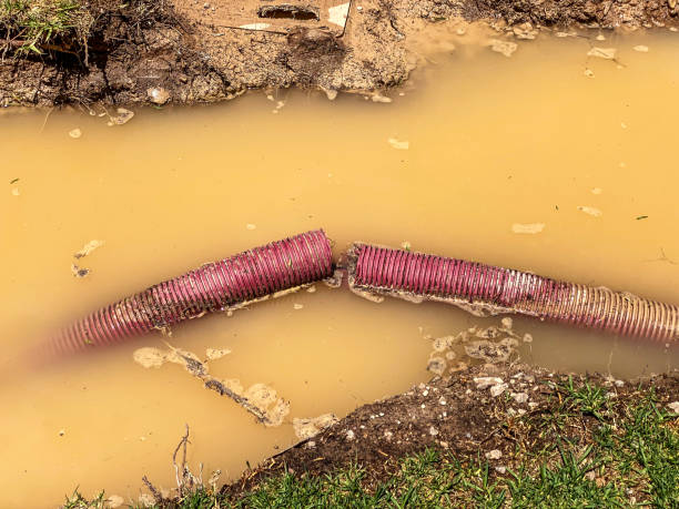 Trusted Lincoln University, PA Water damage restoration Experts